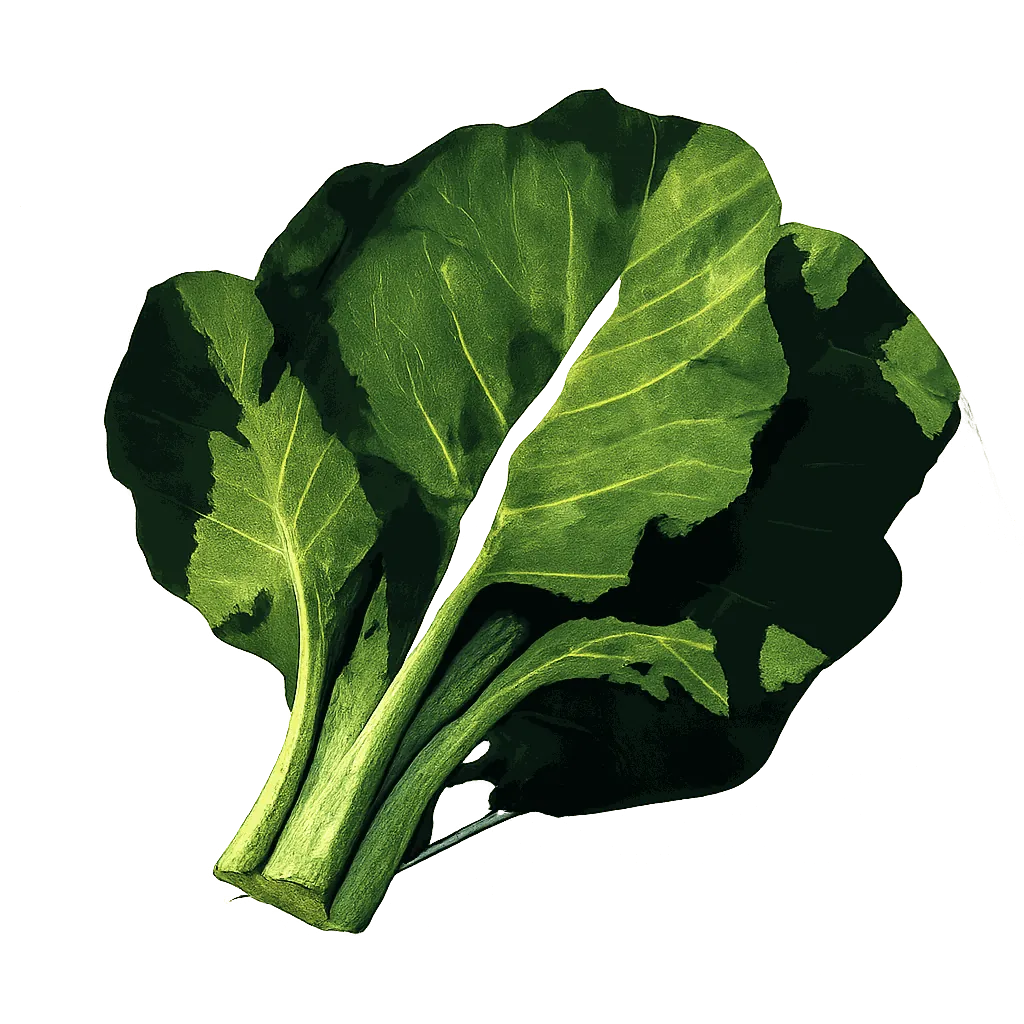 Collard greens